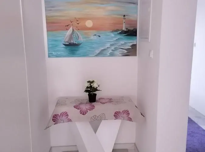 Slavica Vir